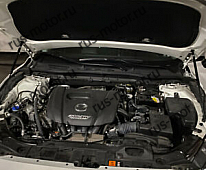 Двигатель Haubenlift Haubendämpfer Nachrüstset ohne Bohren Für Mazda 3 III BM BN
